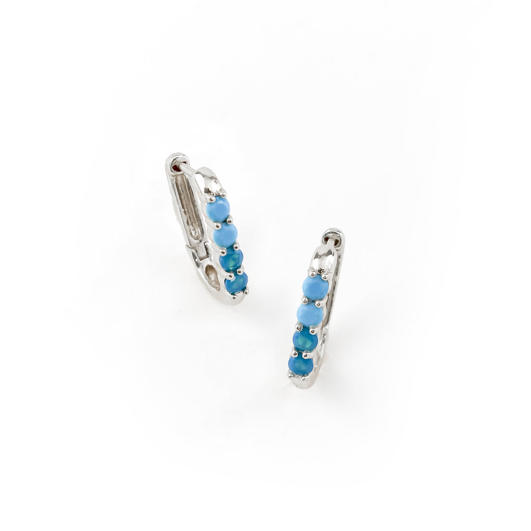 Cayman Turq Silver Earring