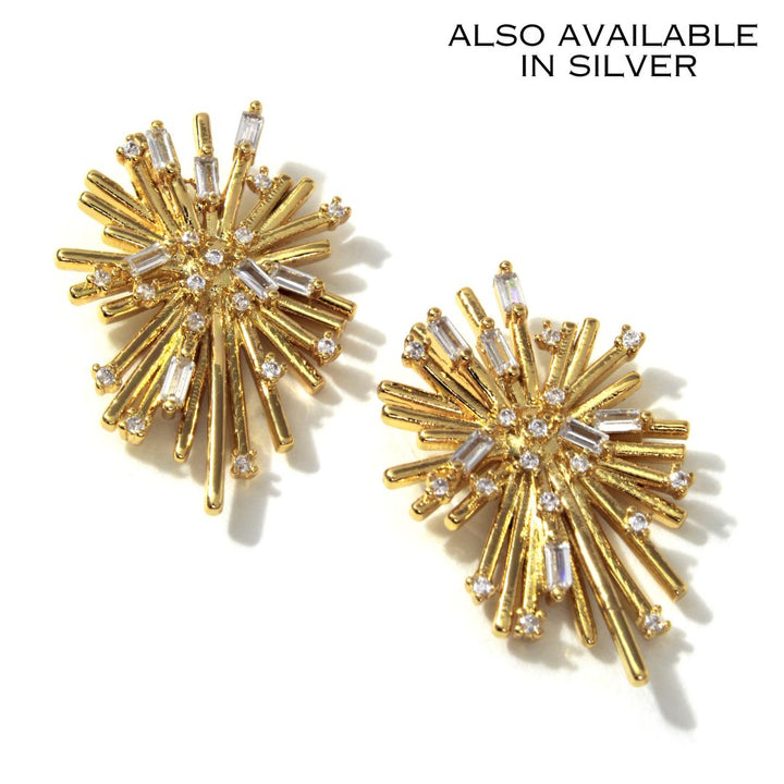 Zara Earrings