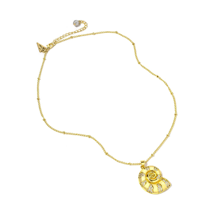 Seashell Necklace