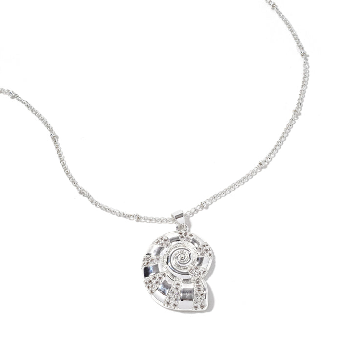 Seashell Necklace