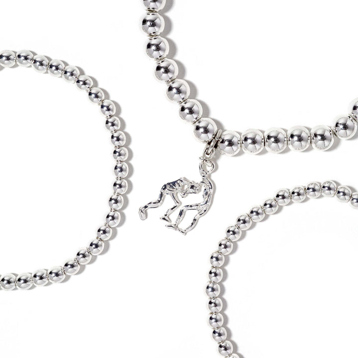 Sporty Starter Stack Wrestling